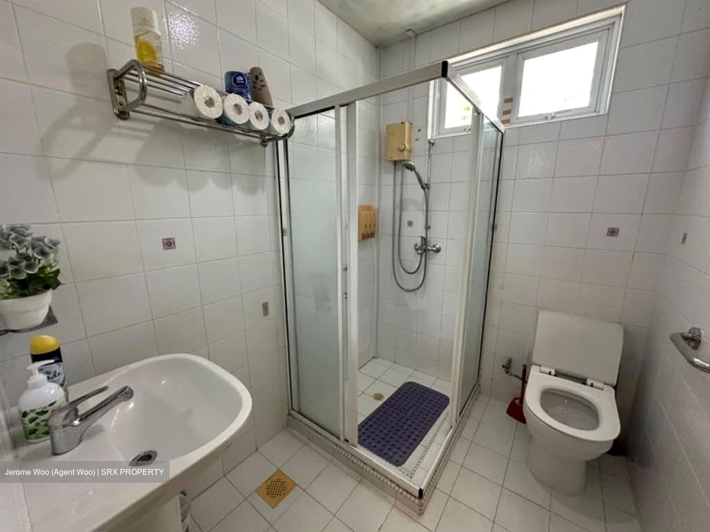 Seletar Hills Estate (D28), Semi-Detached #590740171